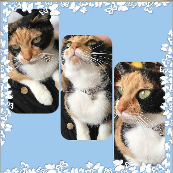 F3e28f54 a00c 4a85 97c5 9b6ea0ac5dbd