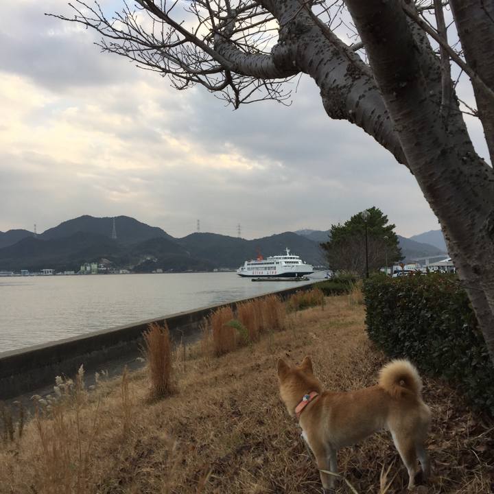 F3e2bf32 3332 4ae1 95e8 e0a874df790e