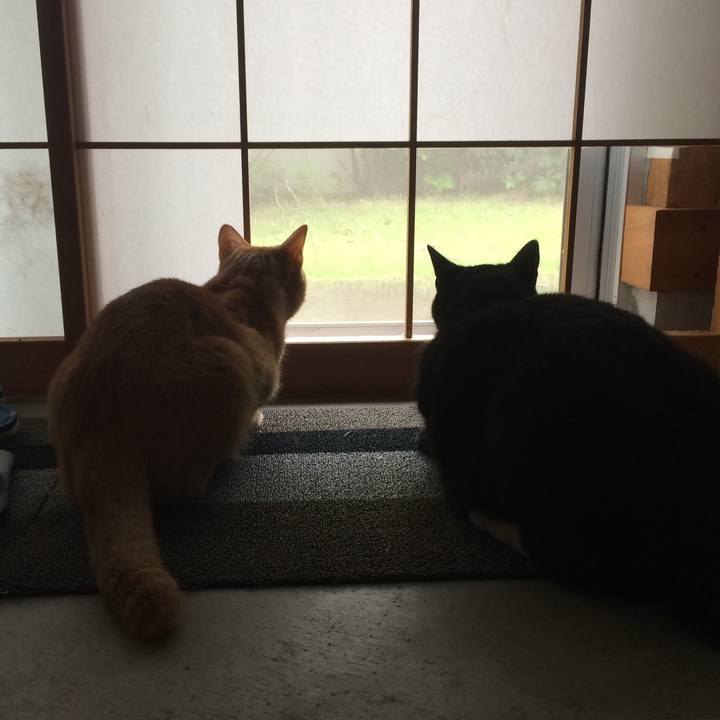 F3e2dbf7 70e7 4709 93be 70e76b44340c