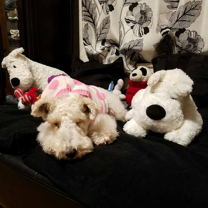 F3e2e754 041a 4e55 8186 9ff8eec315b3