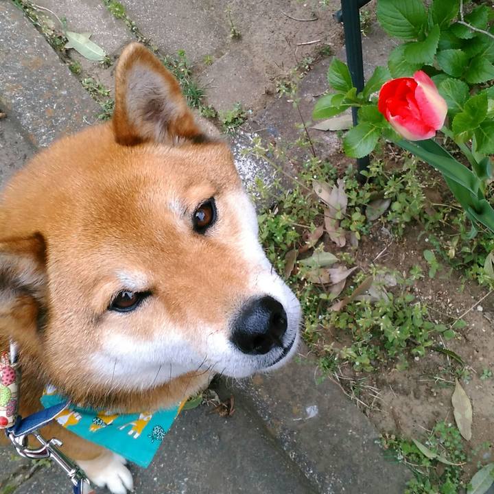 F3e31111 36f3 4bce 971b 12c242287379