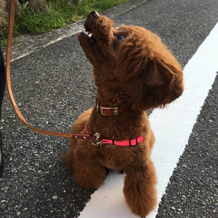 F3e3b3a7 67e5 4f60 9e33 5257a1fdbafd