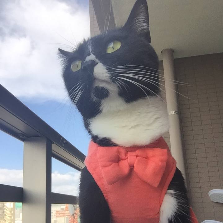 F3e44de9 5c9b 43fb ae30 08afe11835af