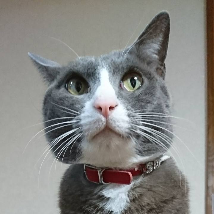 F3e5ca47 ba33 48be 9cd5 10063a131e05