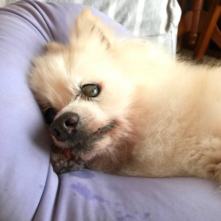 F3e5d6cf 3176 486e bc1e 7c94d6f0943e