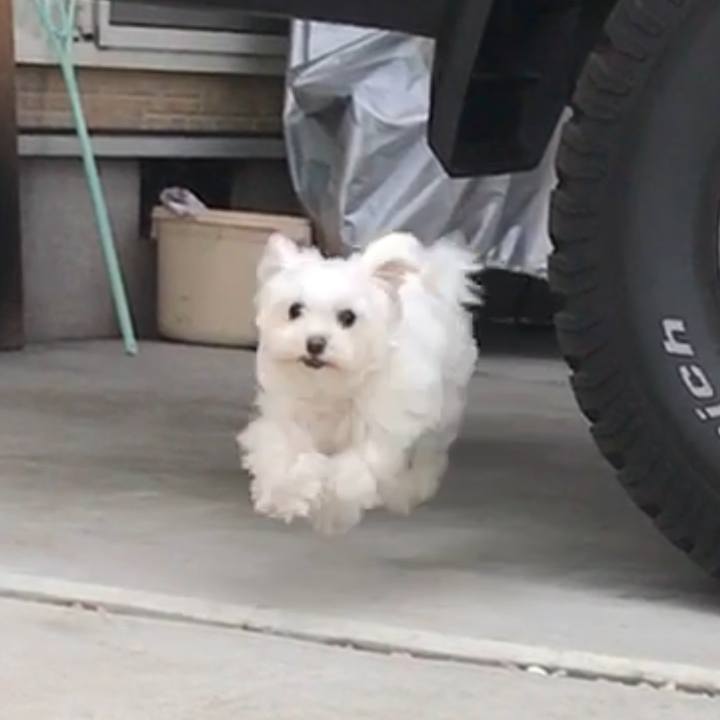 F3e65520 8a7b 40da b0fc 19dfccc8a8f2