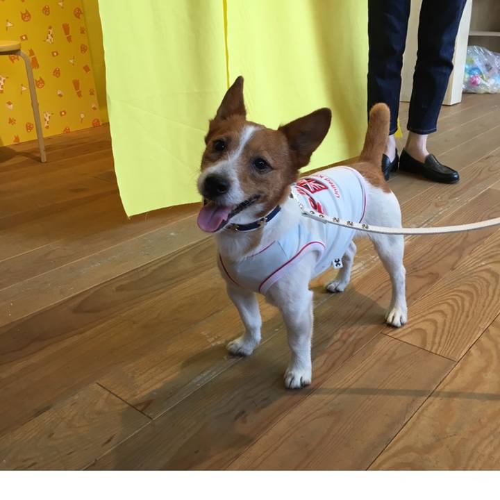 F3e6ed99 2c69 4fb5 b0f9 490cee59a5d1