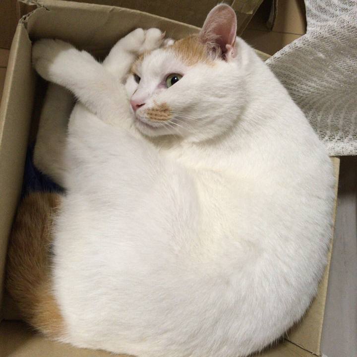 F3e71516 9c18 4a34 bd71 05c1734e40e4