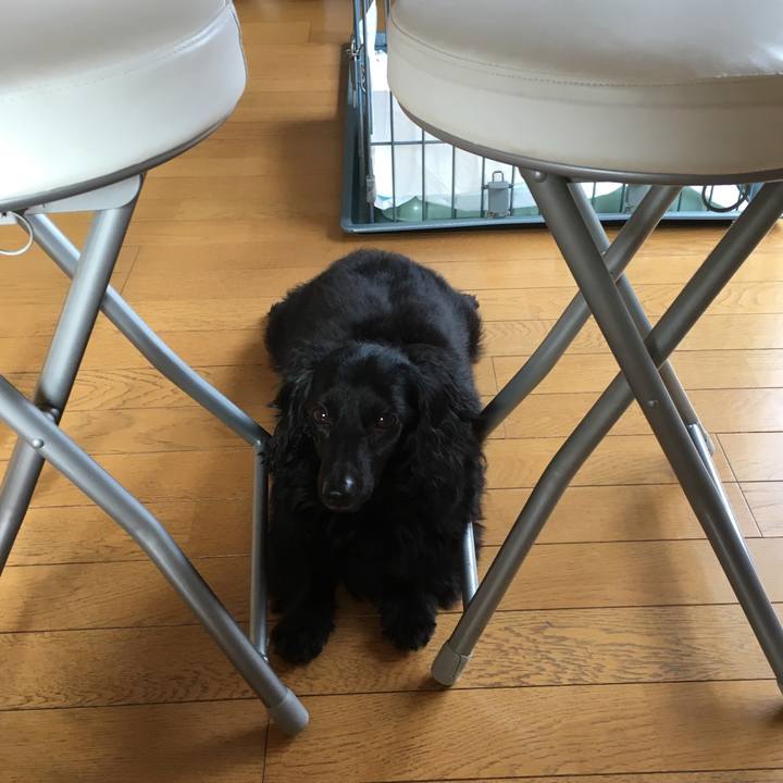 F3e7ee2d 9f4c 4b87 a831 7f83ff945737