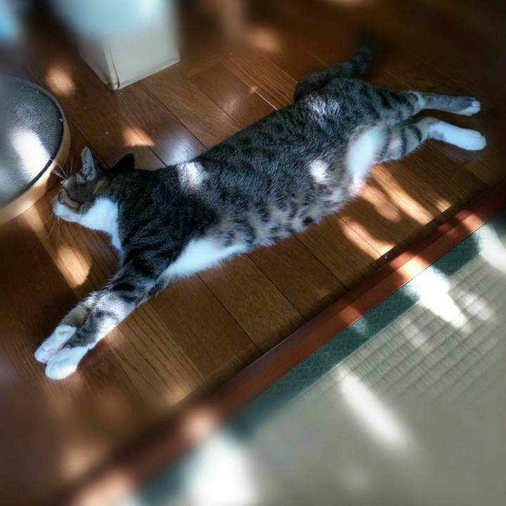 F3e84fb4 2c8c 4e26 9905 f0ce05d45c3e