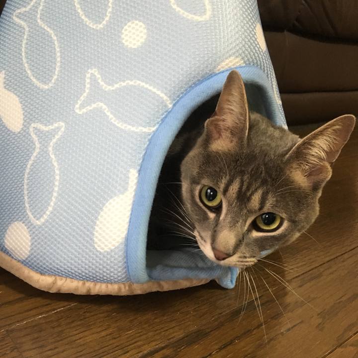 F3e8ec55 efbe 4b60 8075 6d7c0c8c6694