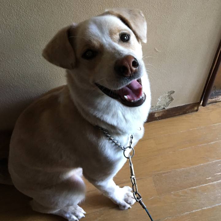 F3e931fd cf52 4765 8f3e 4f40ee1bf995