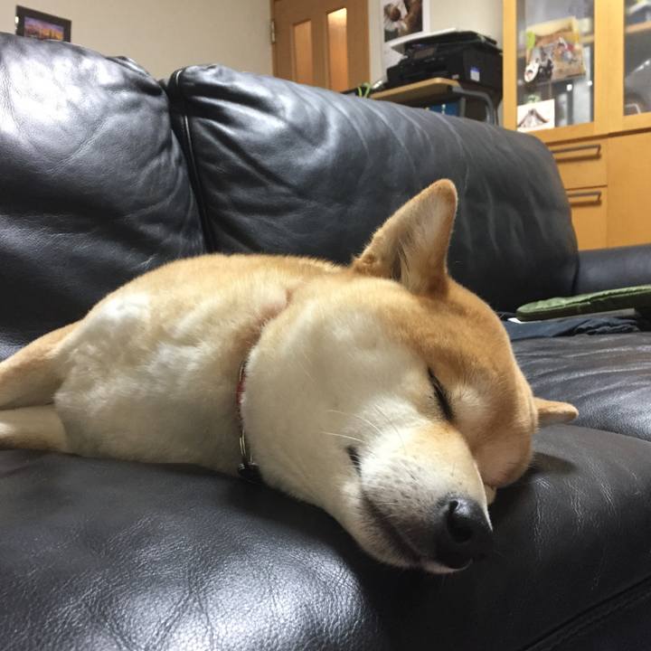 F3ea2589 1d72 432d 9edb c7ee6e2bf40a