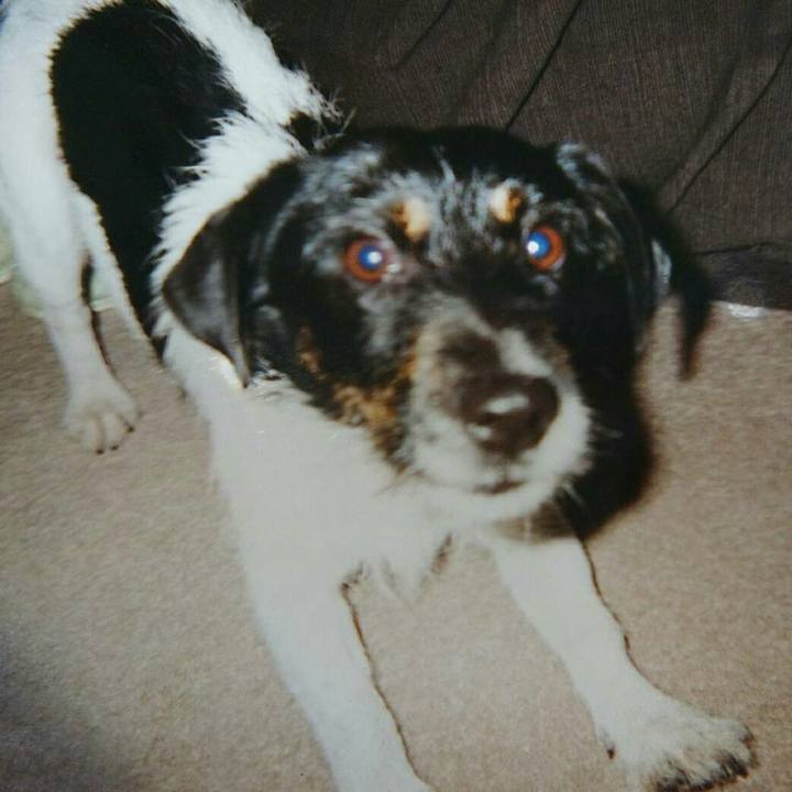 F3ea2dea f7b9 4956 89f6 aa86e614ecb5