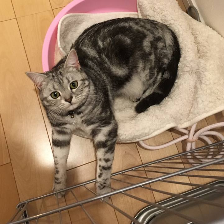 F3eb405c ef54 46d5 8141 9ef27de9d832