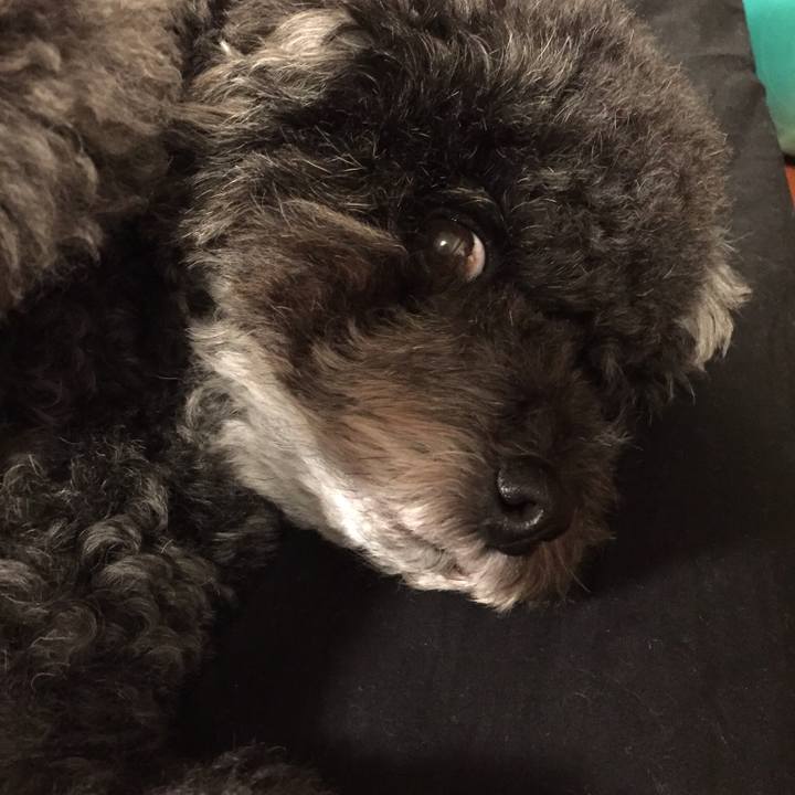 F3eb5db0 e426 4a5e a5a6 814bf266bbcc