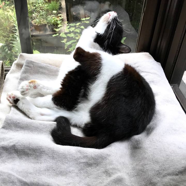 F3eba525 f41f 4a65 a696 d49a9a7a0d29