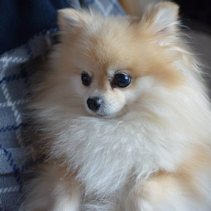 F3ec181c 276d 4029 afc9 bdfbf9656c2e