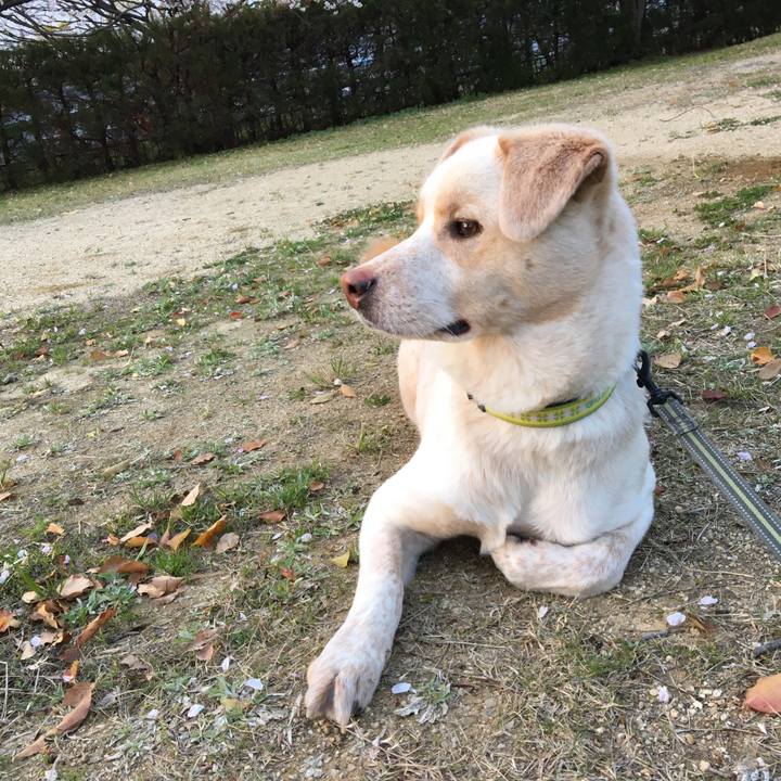 F3ecf0c0 aa2e 432a b2e4 62873b6d2611