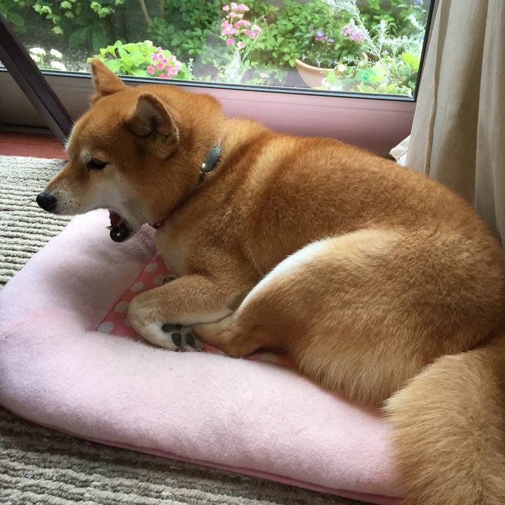 F3ed21bf cf17 43e3 bb57 87a4753f5e4b