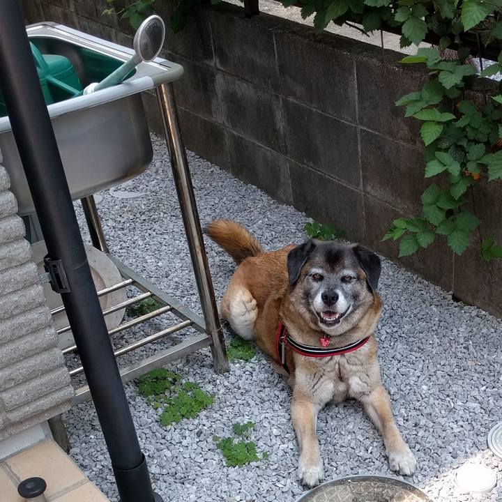 F3ed4e73 4b02 485d 80ea 9f8d2178b088