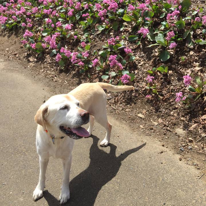 F3ed64f6 b0db 45dd b0bc 0dbe1ba879a1