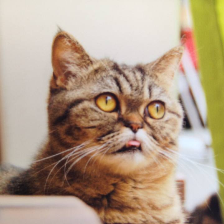 F3ed7ed0 75ce 467a 80c2 7281d6eb3a17