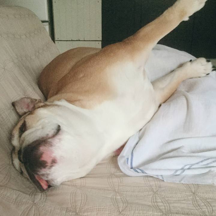 F3eda64f 5fba 4dba b0a9 de40816770fb