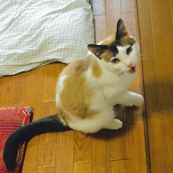 F3edbd41 03d5 429e 8cfe d0f904e50eff