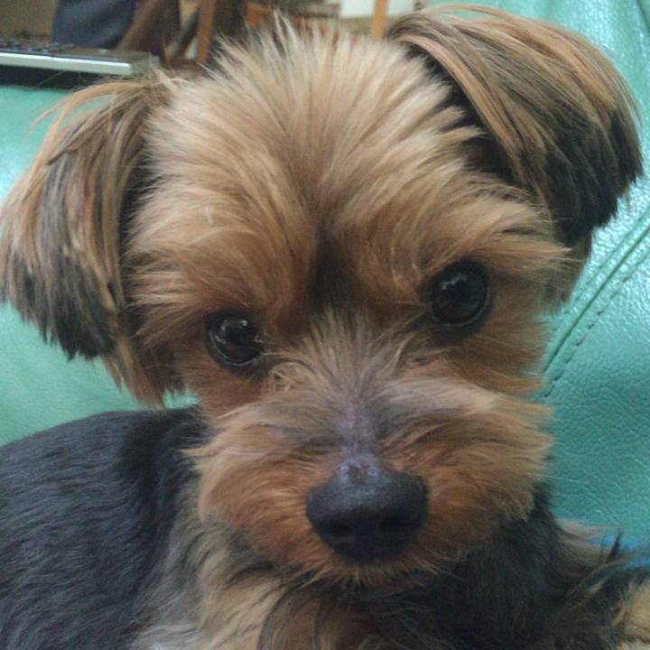 F3edf74e 7ca1 4aa4 bb0f 19cf6b72b389