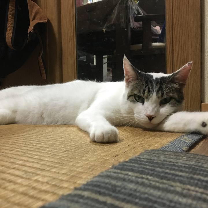 F3ee5170 5a83 4932 9f22 988cebec114a