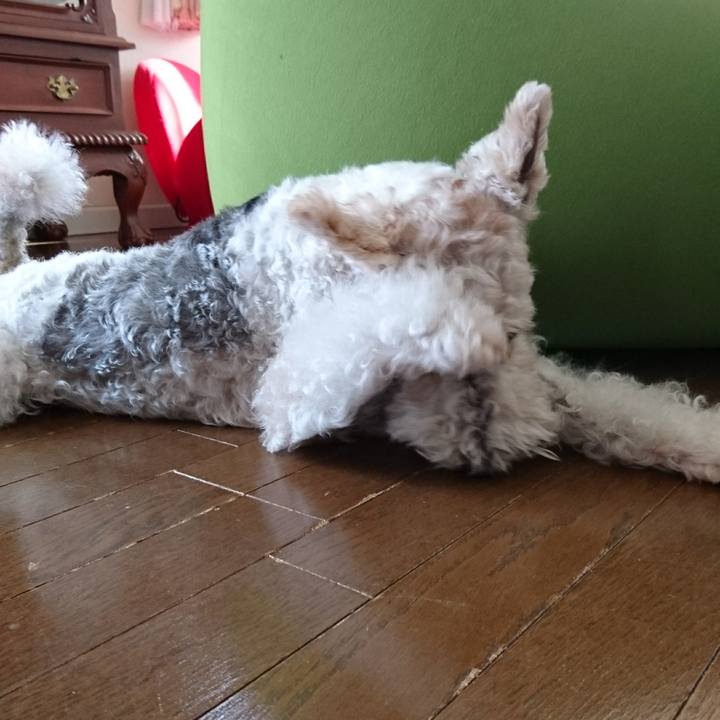 F3eeb591 eb11 4183 847a 3e1a5897835b