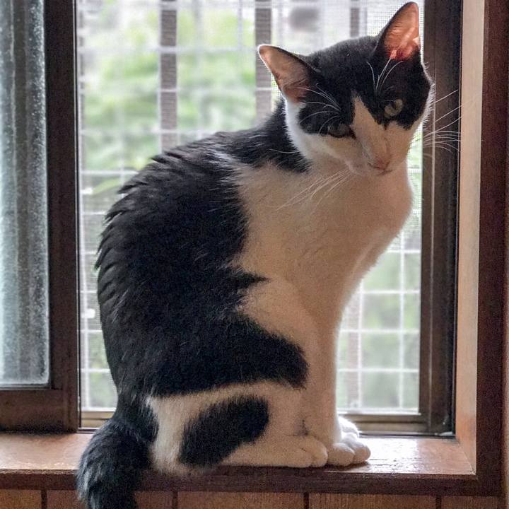 F3ef3c72 b771 4b23 ba77 ba1db7b69dcd