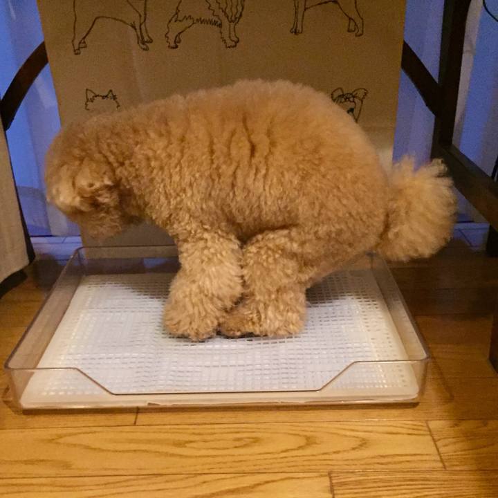 F3ef3d7e e209 4865 81dc 61bcef75f0de