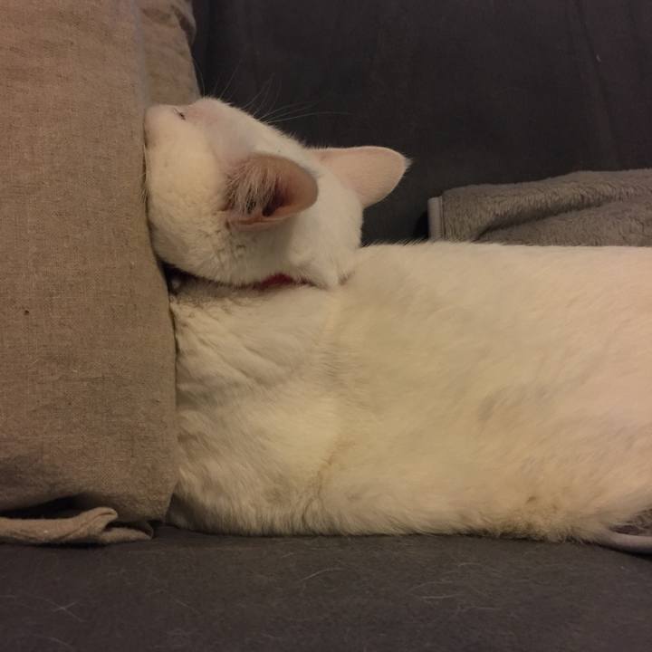 F3ef801e 8bdb 4cd9 b057 9b4d14039c54