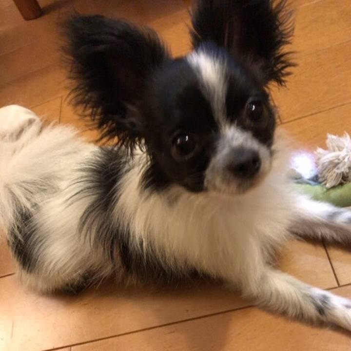 F3efba1e 7e30 4f06 9c6e 5f531fa6eb98