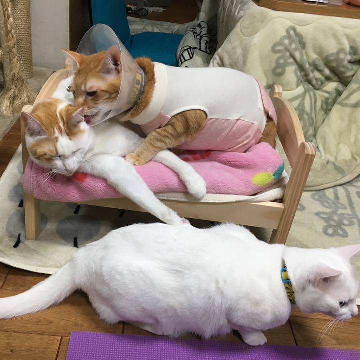 F3f03032 8e99 4031 8c26 7f948abe1d68