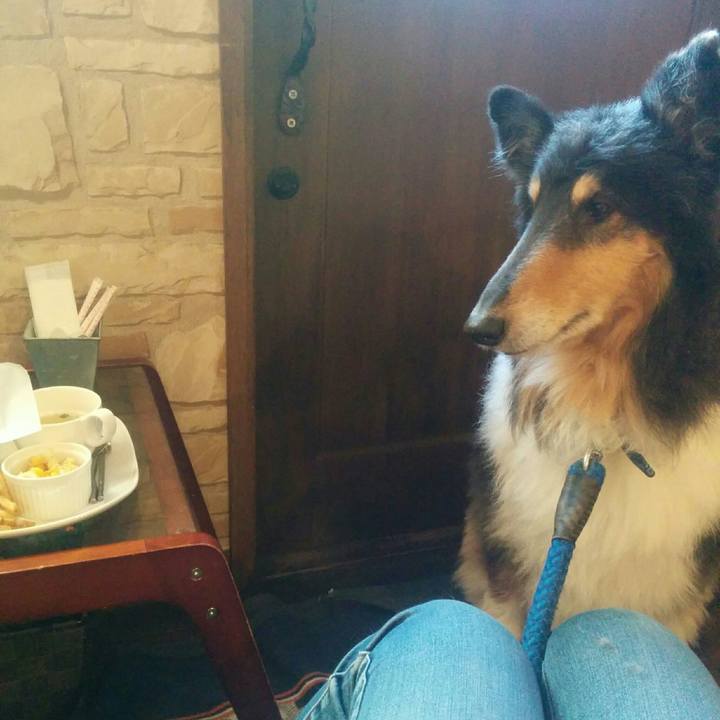 F3f09619 68e9 446d 9a6b 2ee8880cc14a