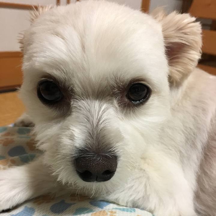 F3f09903 f8eb 4f51 bdfa c9772c950365