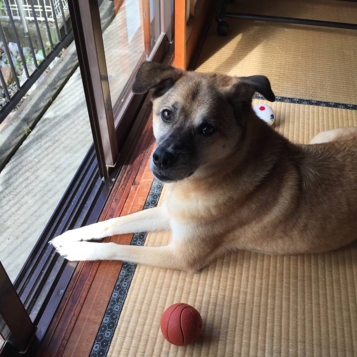 F3f16441 b28a 473c b38a 8446821d217b