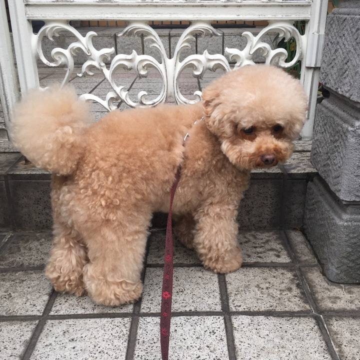 F3f16844 3fbe 4917 8fa3 9509565e474c