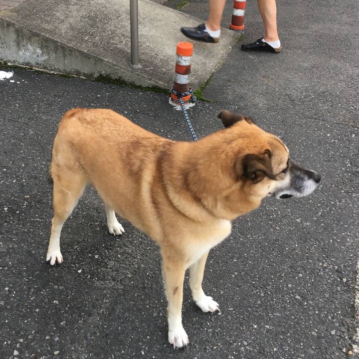 F3f22ede ca63 4821 a12b afcccf9ed55b