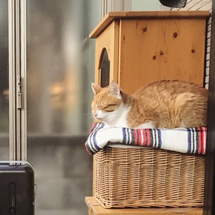 F3f236b6 b547 4013 8f76 7d35d04c6ccc