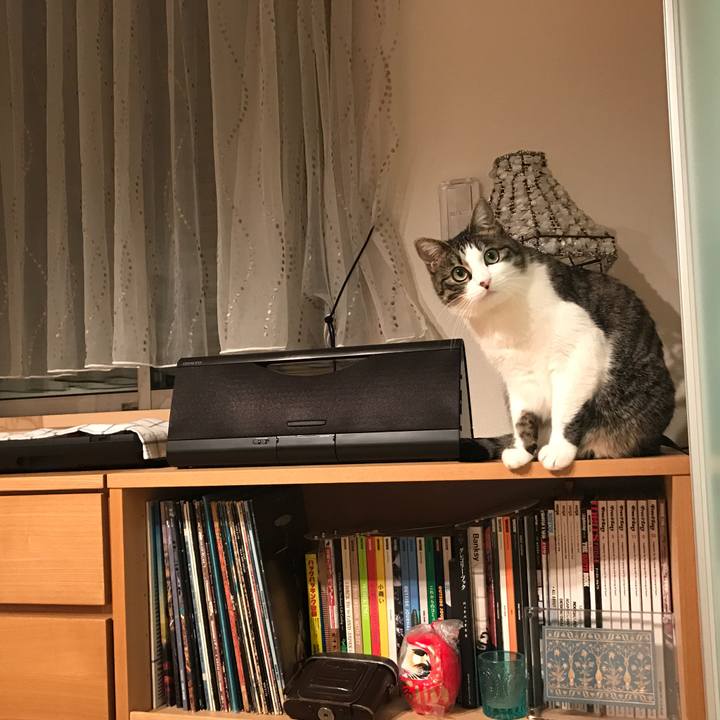 F3f2e32d cc0d 47f7 932b 9ba40842e0b4