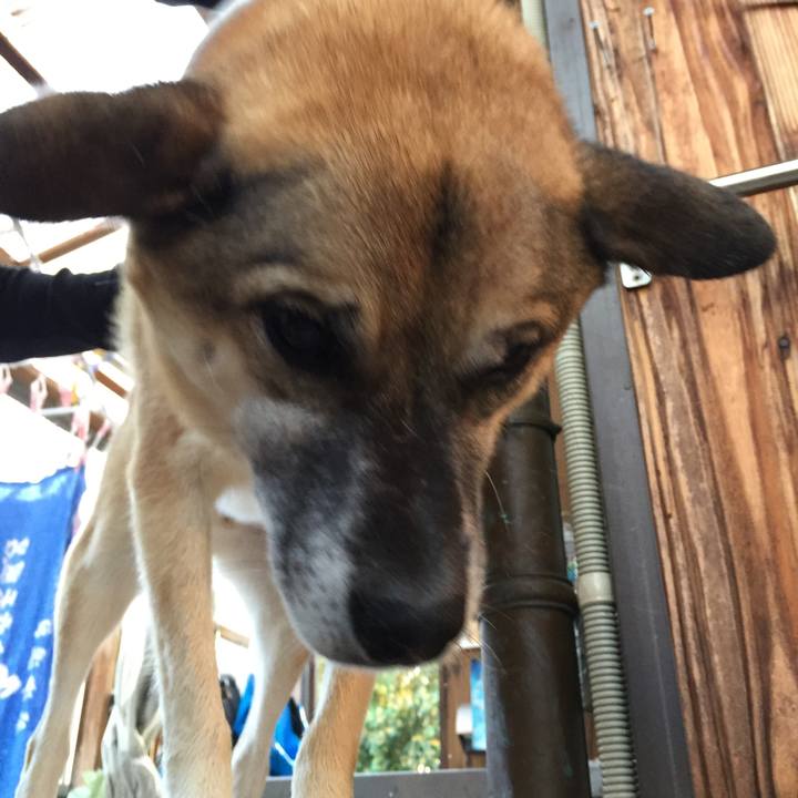 F3f3589e 33aa 4049 8cfb 391e5081b546