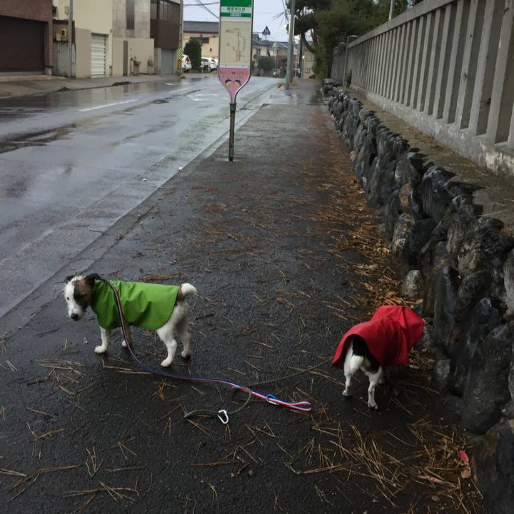 F3f3b9a1 c42b 4156 ab26 77f889def7d3