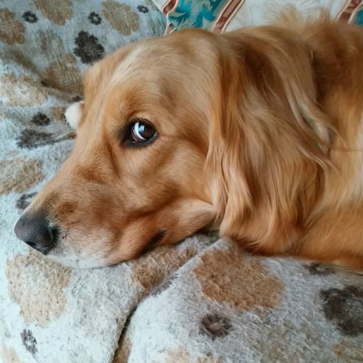 F3f3d7cc e38e 430c a9e9 c360fcb9babf