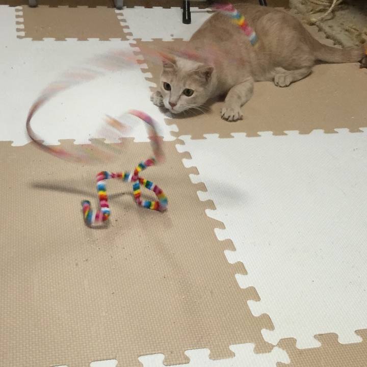 F3f3ddba 4cf6 485d 9519 cb127f5142ba