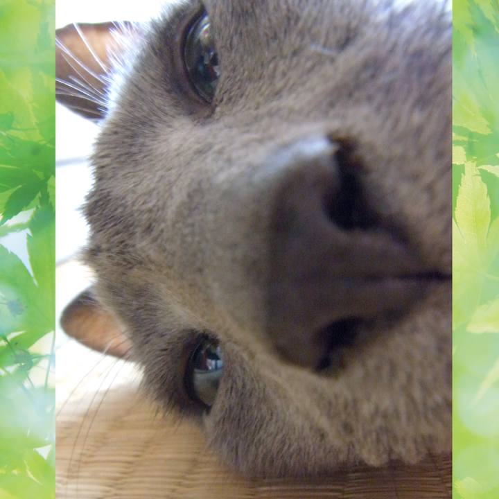 F3f3eb1f f272 4f13 8854 4f7e30e4c72c