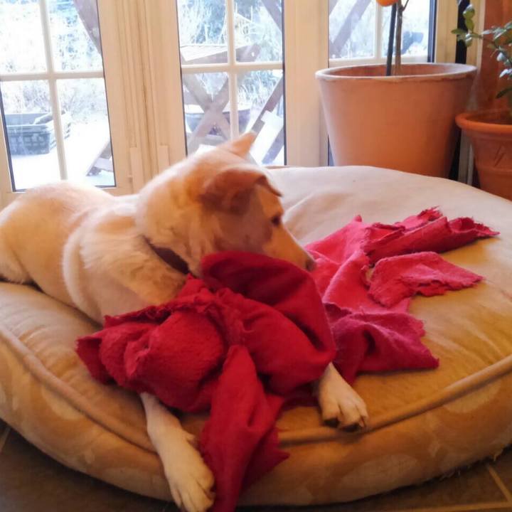 F3f4e573 5c42 484b b6d5 0400d0f7f7a6